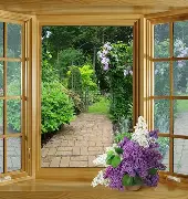 包含窗口期社区盾传出新动向，夏洛特黄蜂调整名单，管理层表态：目标明确，资深球员宣示担当的词条